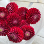 9 красных георгин фото 2